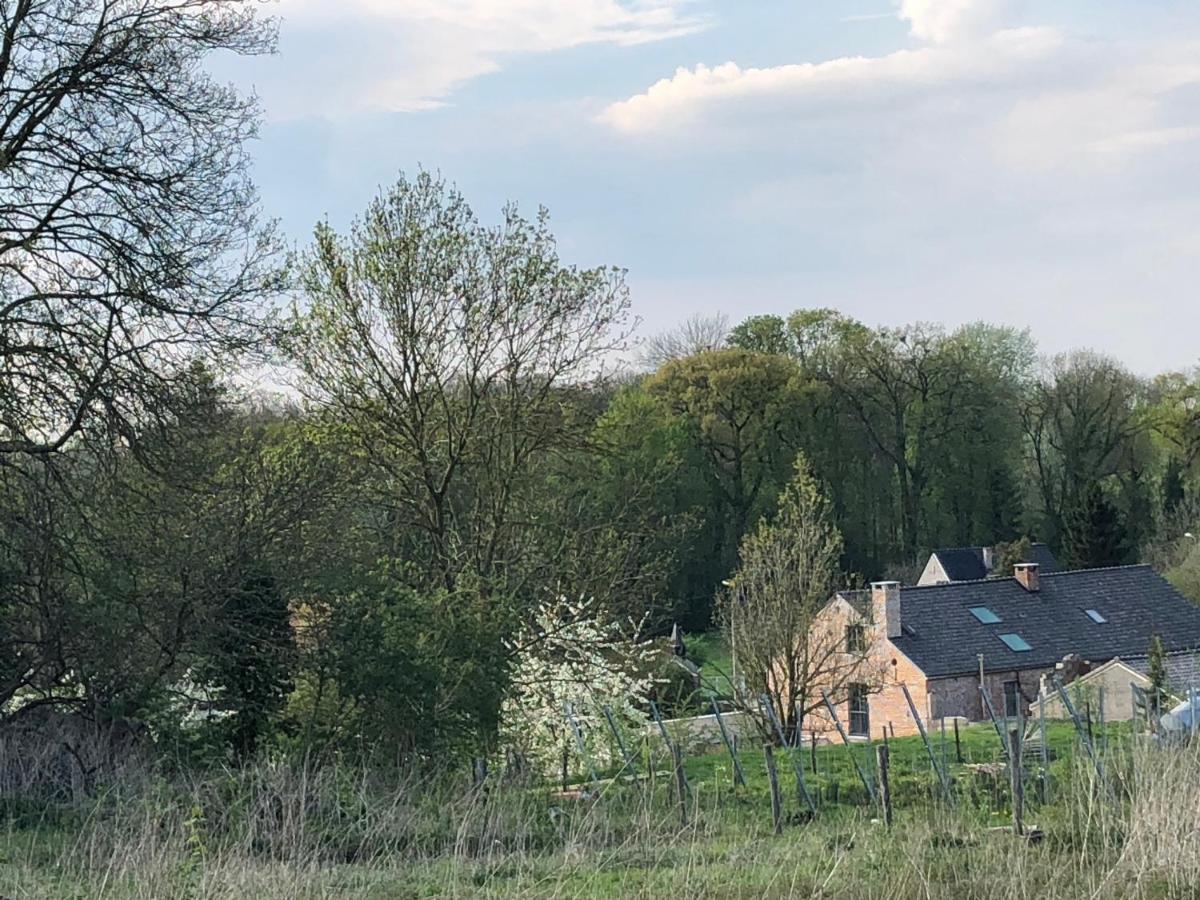 De Romeinse Katzei Bed & Breakfast