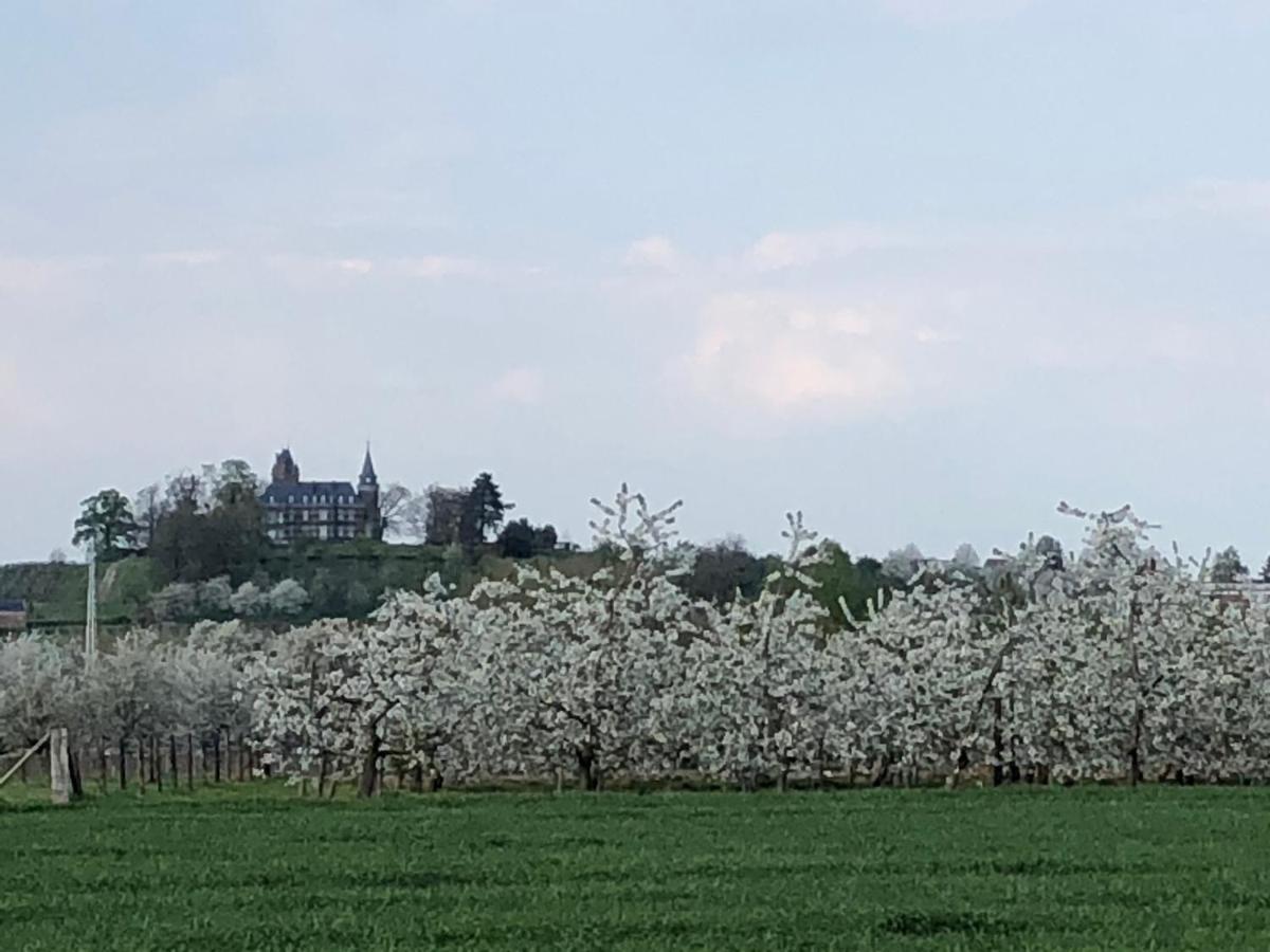 De Romeinse Katzei